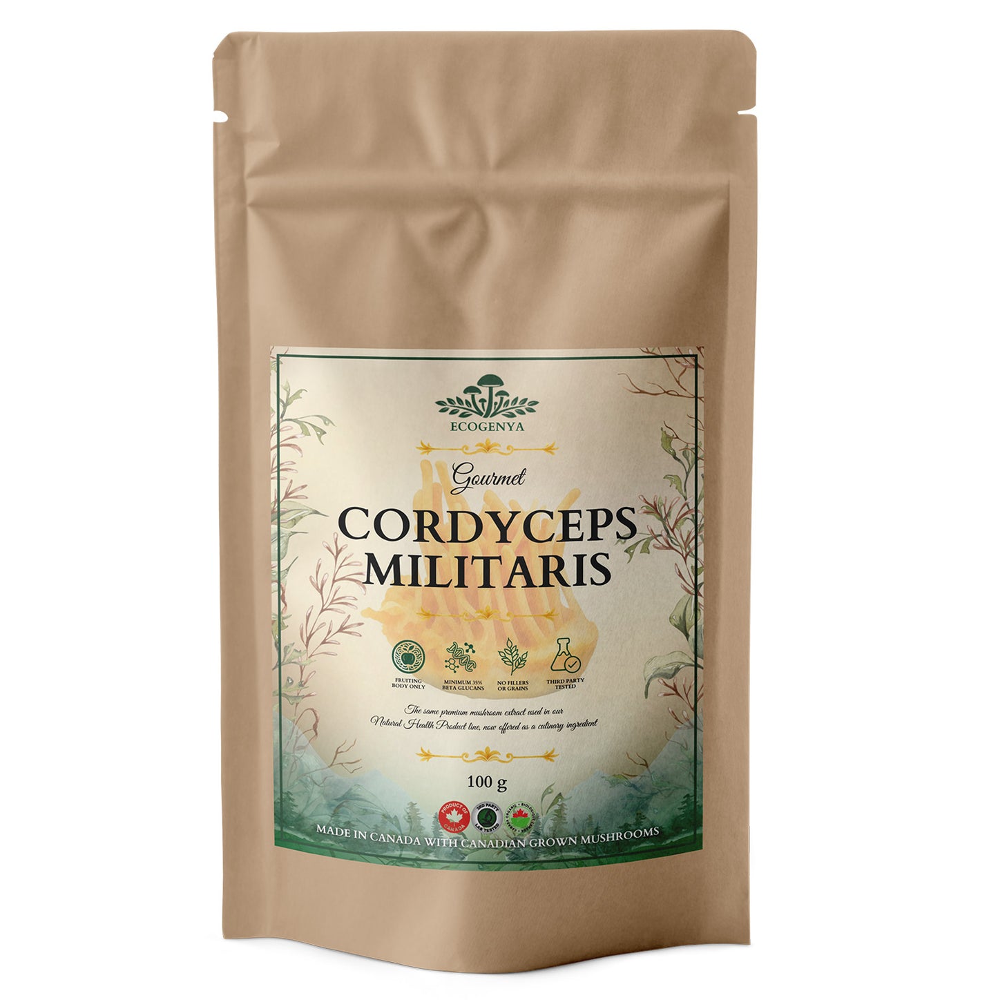 Mélange Gourmet Super 7 Champignons – Poudre d'Extrait de Champignons Biologique