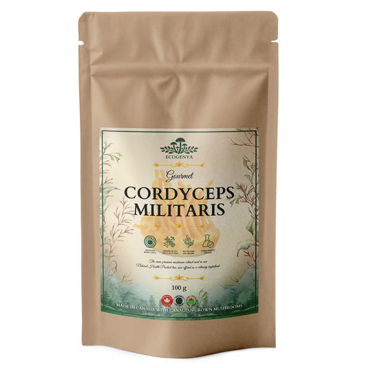 Gourmet Cordyceps Mushroom Extract Powder – Organic Cordyceps Militaris