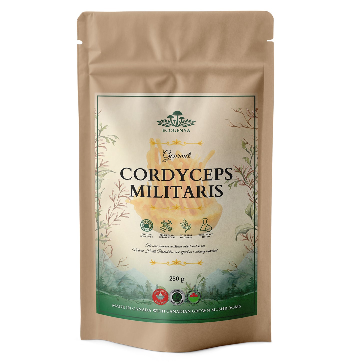 Mélange Gourmet Super 7 Champignons – Poudre d'Extrait de Champignons Biologique