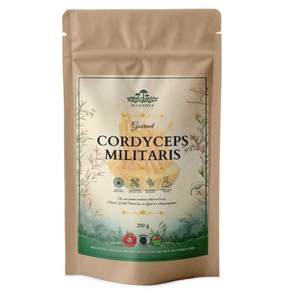 Mélange Gourmet Super 7 Champignons – Poudre d'Extrait de Champignons Biologique
