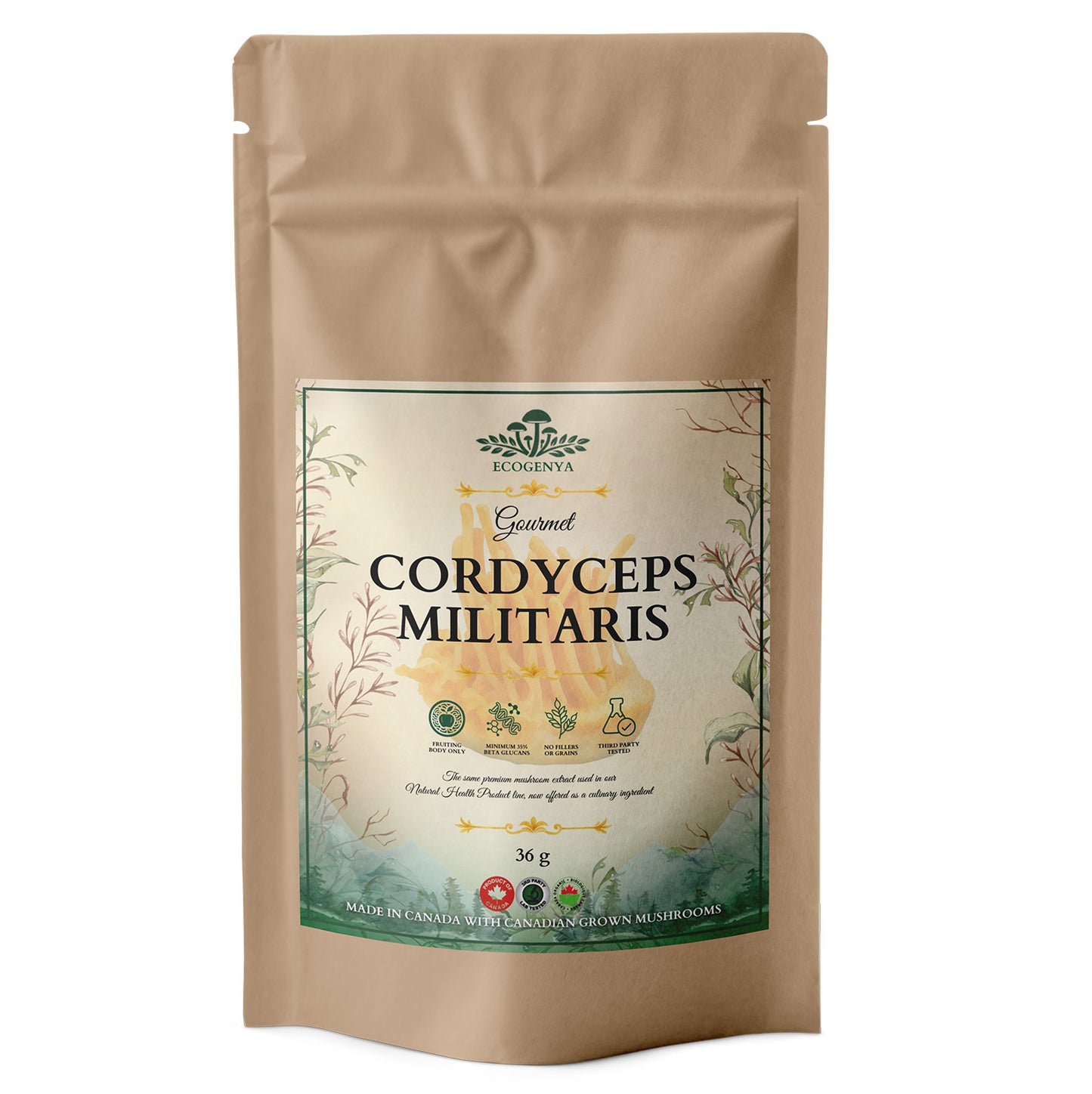 Mélange Gourmet Super 7 Champignons – Poudre d'Extrait de Champignons Biologique