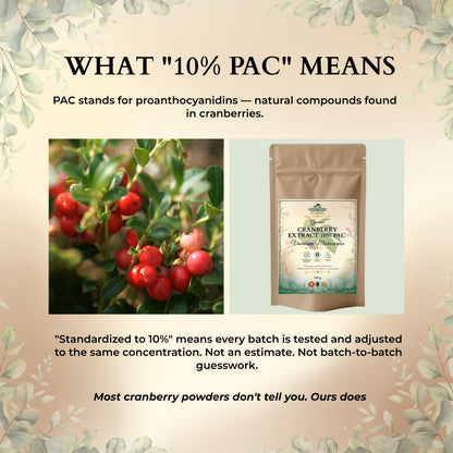 Cranberry Extract 10% PAC – Standardized, Kitchen-Ready