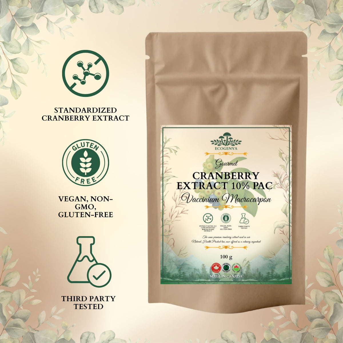 Cranberry Extract 10% PAC – Standardized, Kitchen-Ready