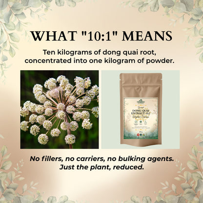 Ecogenya Dong Quai Extract 10:1 available in 36 g, 100 g, 250 g, 500 g and 1000 g pouches