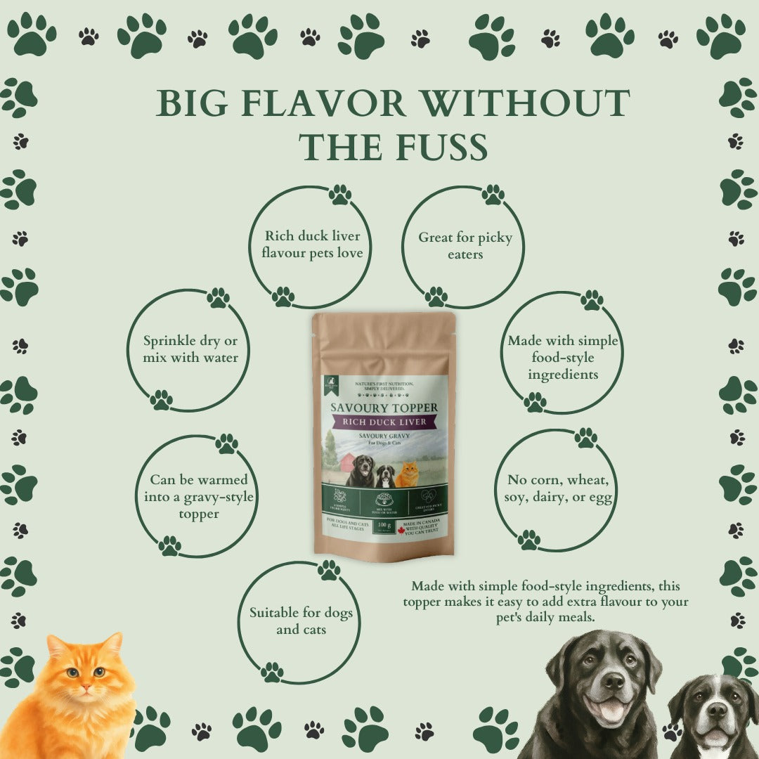 Ecogenya Rich Duck Liver Gravy pouch on a sage-green graphic headed 'Big flavor without the fuss,' with benefit bubbles for rich duck flavour, picky-eater friendly, gravy-style topper, and no corn, wheat, soy, dairy or egg, beside a cat and two dogs.