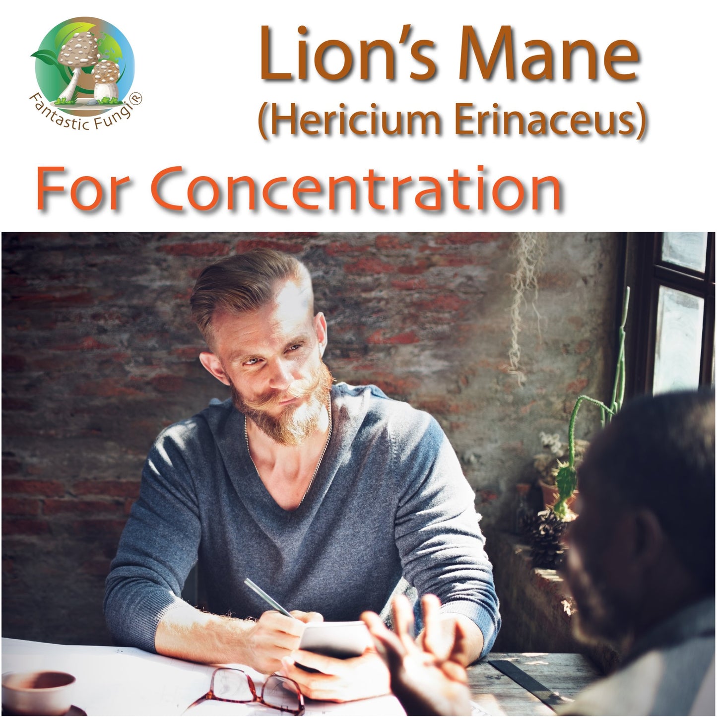 Ecogenya Continental Lion's Mane (hericium erinaceus) Mushroom Extract Powder - | Highly Concentrated - Ecogenya