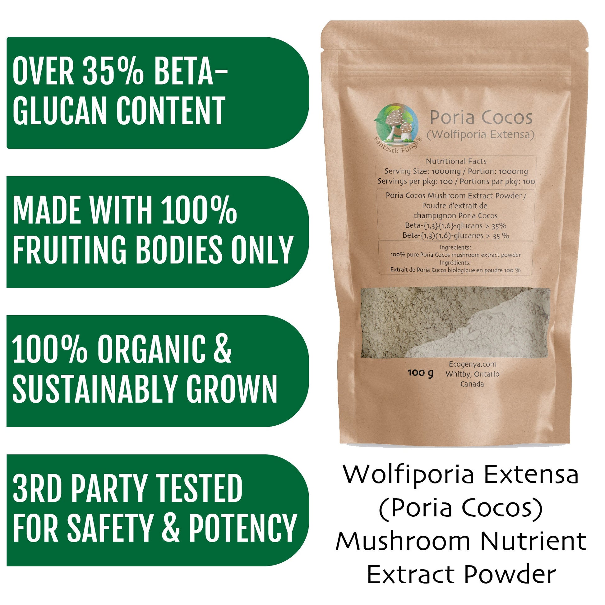 Fantastic Fungi Wolfiporia Cocos (Poria Cocos) by Ecogenya: High - Potency Mushroom Extract - 35% Beta Glucans - Ecogenya