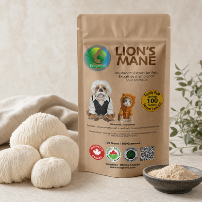 Ecogenya Lion’s Mane mushroom extract for pets with Lion’s Mane mushrooms and powder
