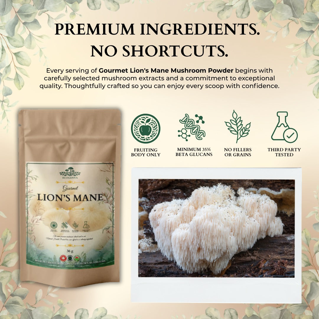 Ecogenya Gourmet Lion's Mane Mushroom Powder – Organic Fruiting Body Extract, 35% Beta-Glucans