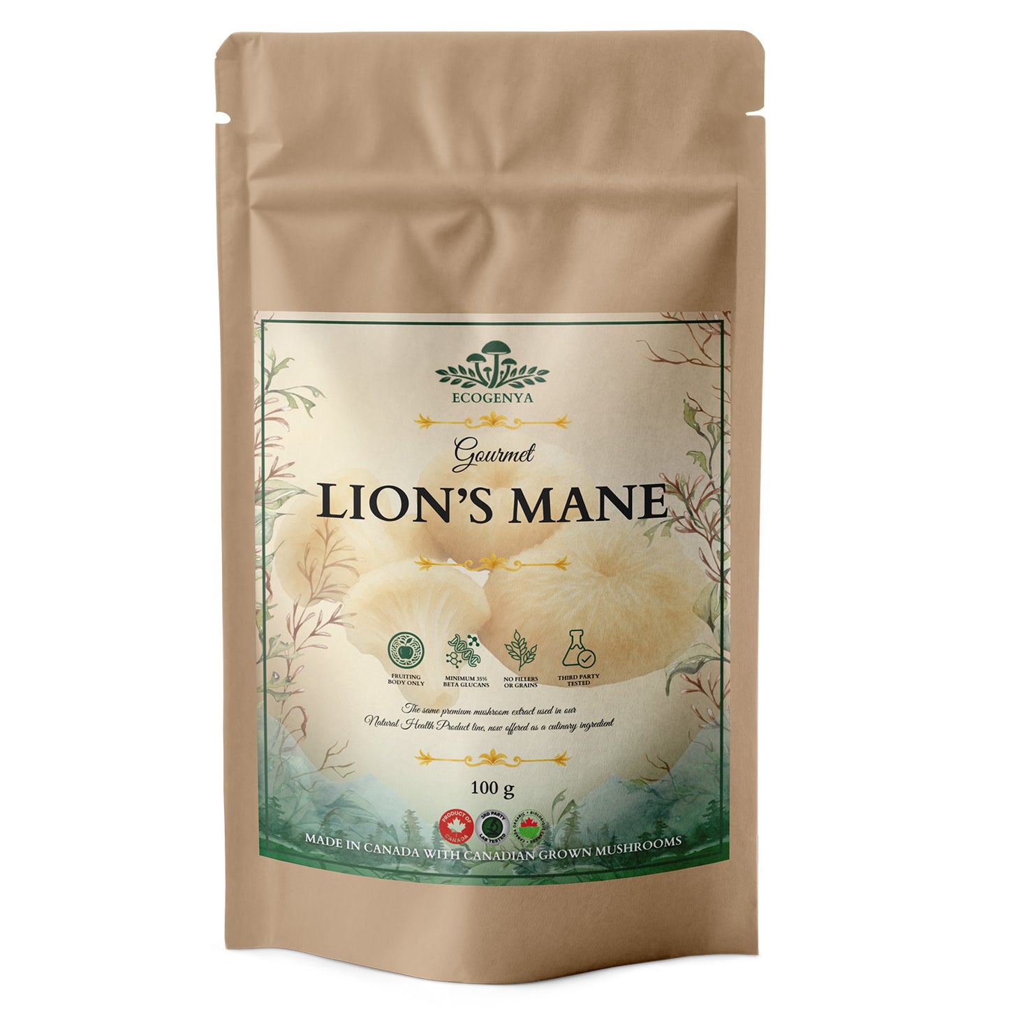 Gourmet Lion’s Mane Mushroom Powder – Organic Lion’s Mane Extract