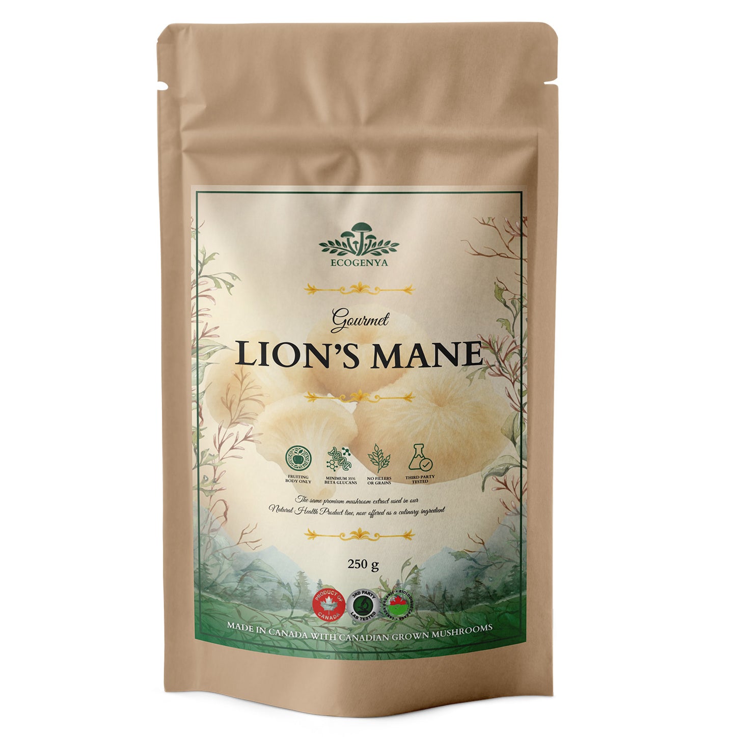 Gourmet Lion’s Mane Mushroom Powder – Organic Lion’s Mane Extract