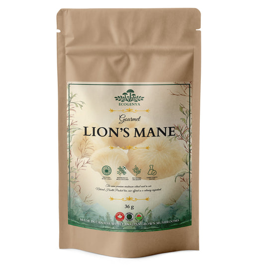 Gourmet Lion’s Mane Mushroom Powder – Organic Lion’s Mane Extract