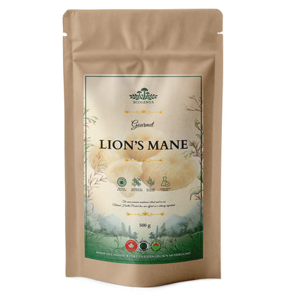 Gourmet Lion’s Mane Mushroom Powder – Organic Lion’s Mane Extract