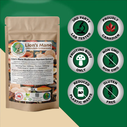 Organic Lion’s Mane (Hericium Erinaceus) Mushroom extract powder / Extrait d’hydne hérisson (Hericium Erinaceus) biologique en poudre