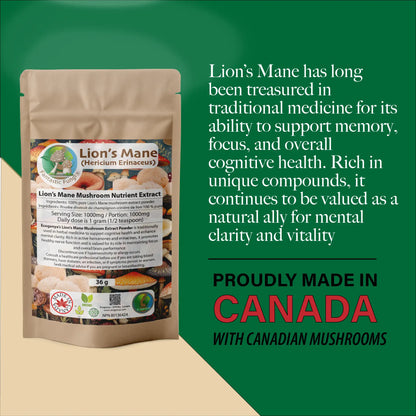 Organic Lion’s Mane (Hericium Erinaceus) Mushroom extract powder / Extrait d’hydne hérisson (Hericium Erinaceus) biologique en poudre