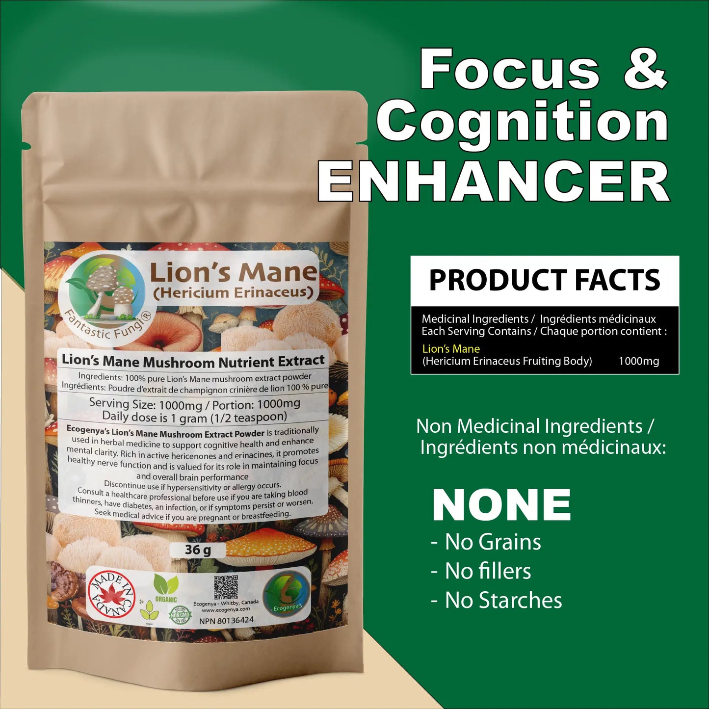 Organic Lion’s Mane (Hericium Erinaceus) Mushroom extract powder / Extrait d’hydne hérisson (Hericium Erinaceus) biologique en poudre