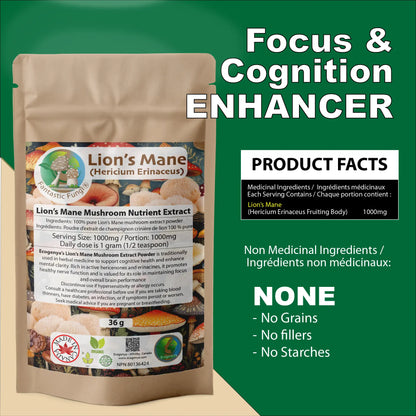 Organic Lion’s Mane (Hericium Erinaceus) Mushroom extract powder / Extrait d’hydne hérisson (Hericium Erinaceus) biologique en poudre