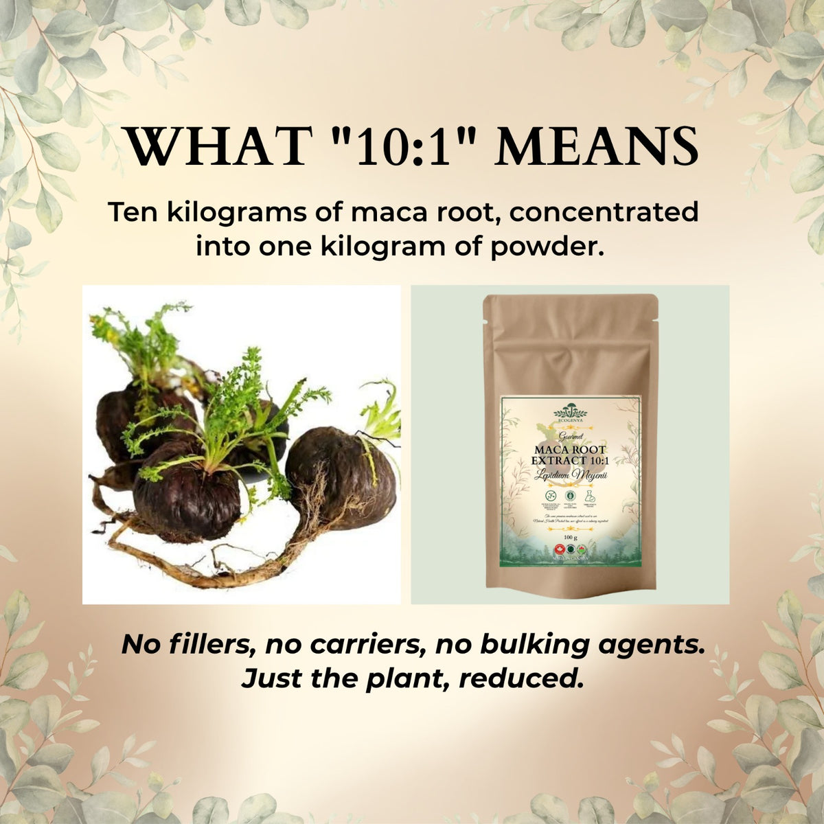 How to use Maca Root Extract 10:1 in smoothies, oatmeal or custom blends