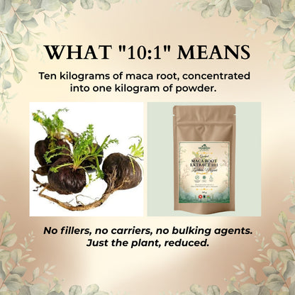 How to use Maca Root Extract 10:1 in smoothies, oatmeal or custom blends