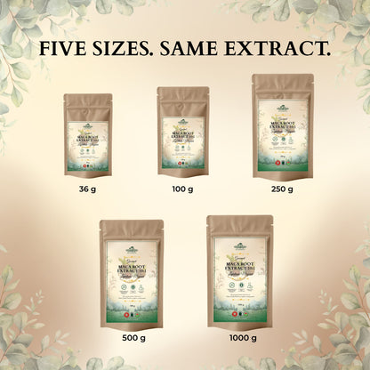 Ecogenya Maca Root Extract 10:1 pouch with vegan, non-GMO, gluten-free and third-party tested features