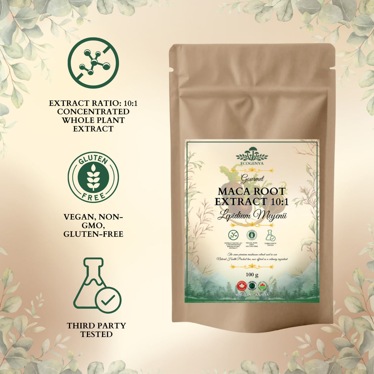 Ecogenya Maca Root Extract 10:1 available in 36 g, 100 g, 250 g, 500 g and 1000 g pouches