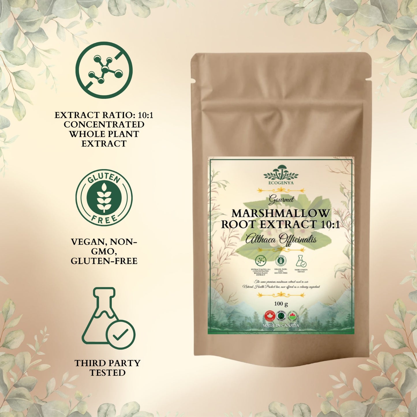Ecogenya Marshmallow Root Extract 10:1 product features and ingredient highlights