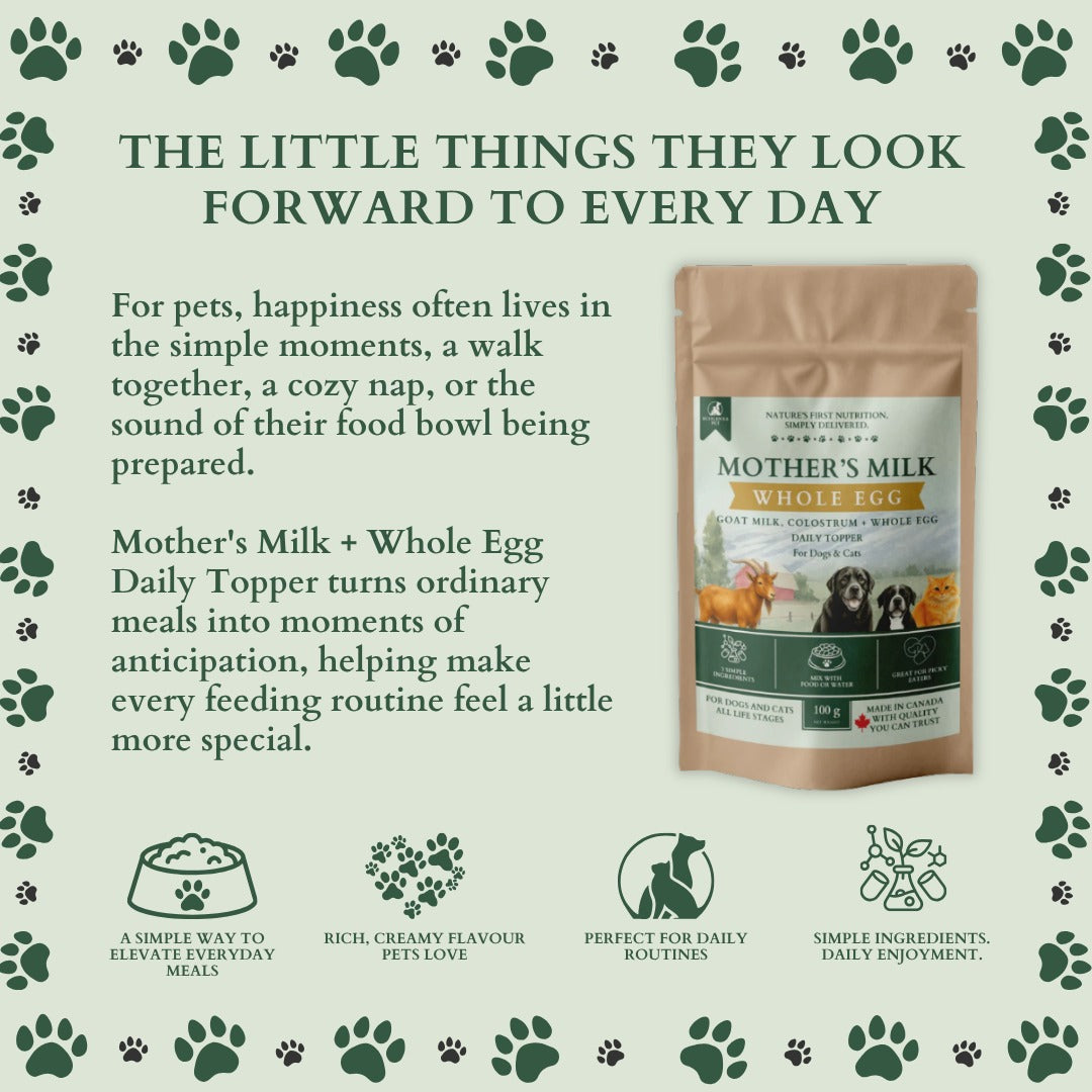 Ecogenya Mother's Milk Whole Egg daily topper pouch on a sage-green graphic, 'The little things they look forward to every day,' with icons for elevating everyday meals, rich creamy flavour, daily routines, and simple ingredients.