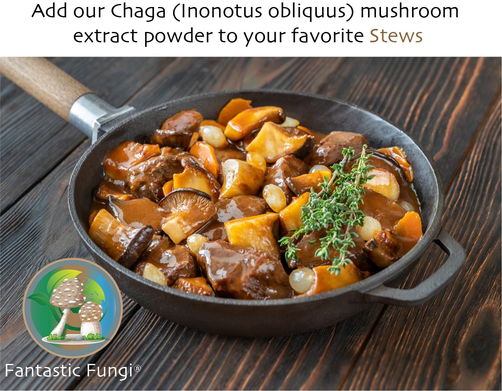 Organic Chaga (Inonotus obliquus) Mushroom extract powder / Extrait de Chaga (Inonotus obliquus) biologique en poudre - Ecogenya