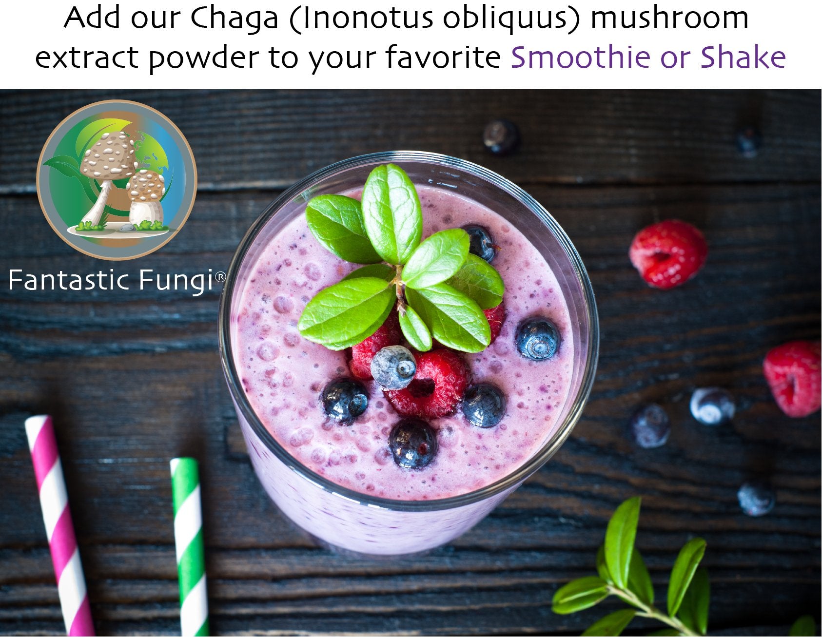 Organic Chaga (Inonotus obliquus) Mushroom extract powder / Extrait de Chaga (Inonotus obliquus) biologique en poudre - Ecogenya
