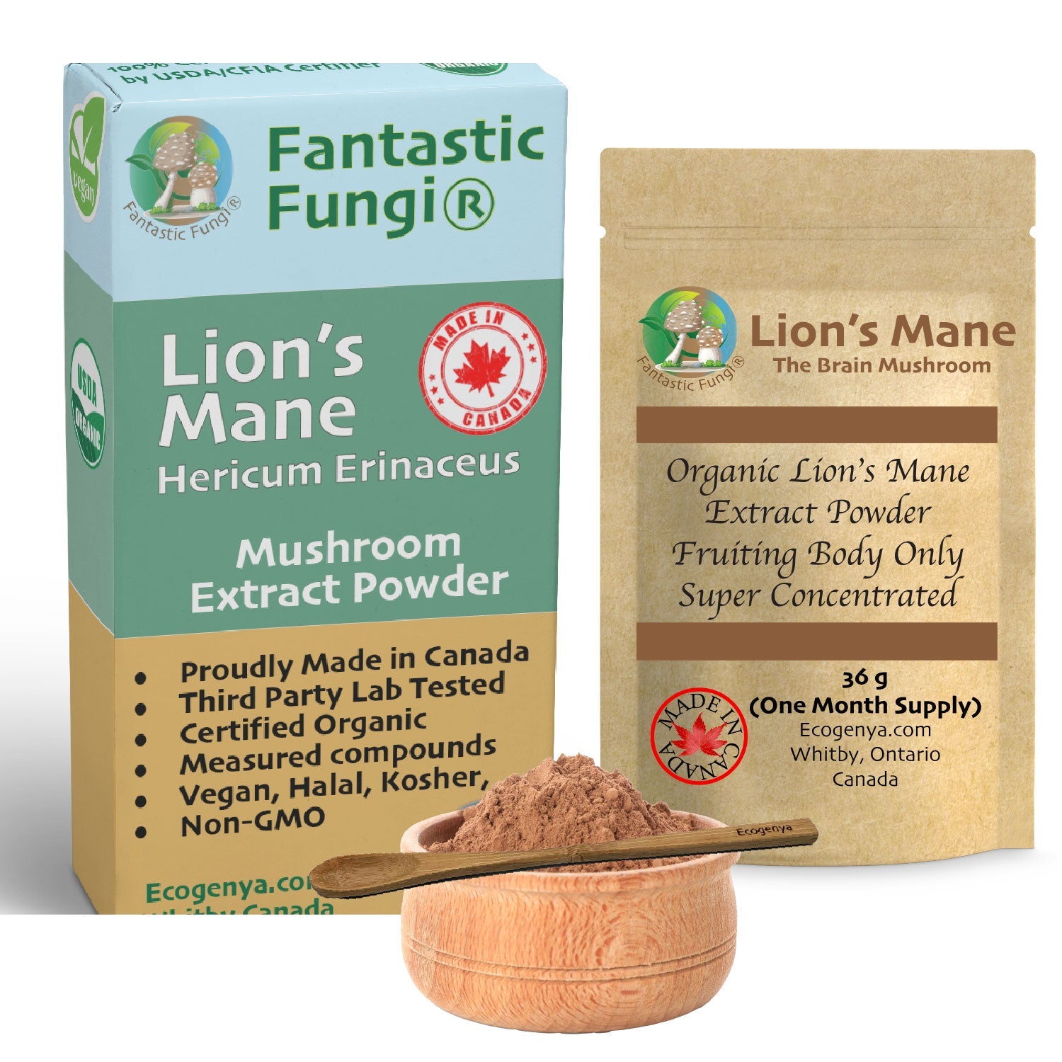 Organic Lion’s Mane (Hericium Erinaceus) Mushroom extract powder / Extrait d’hydne hérisson (Hericium Erinaceus) biologique en poudre - Ecogenya