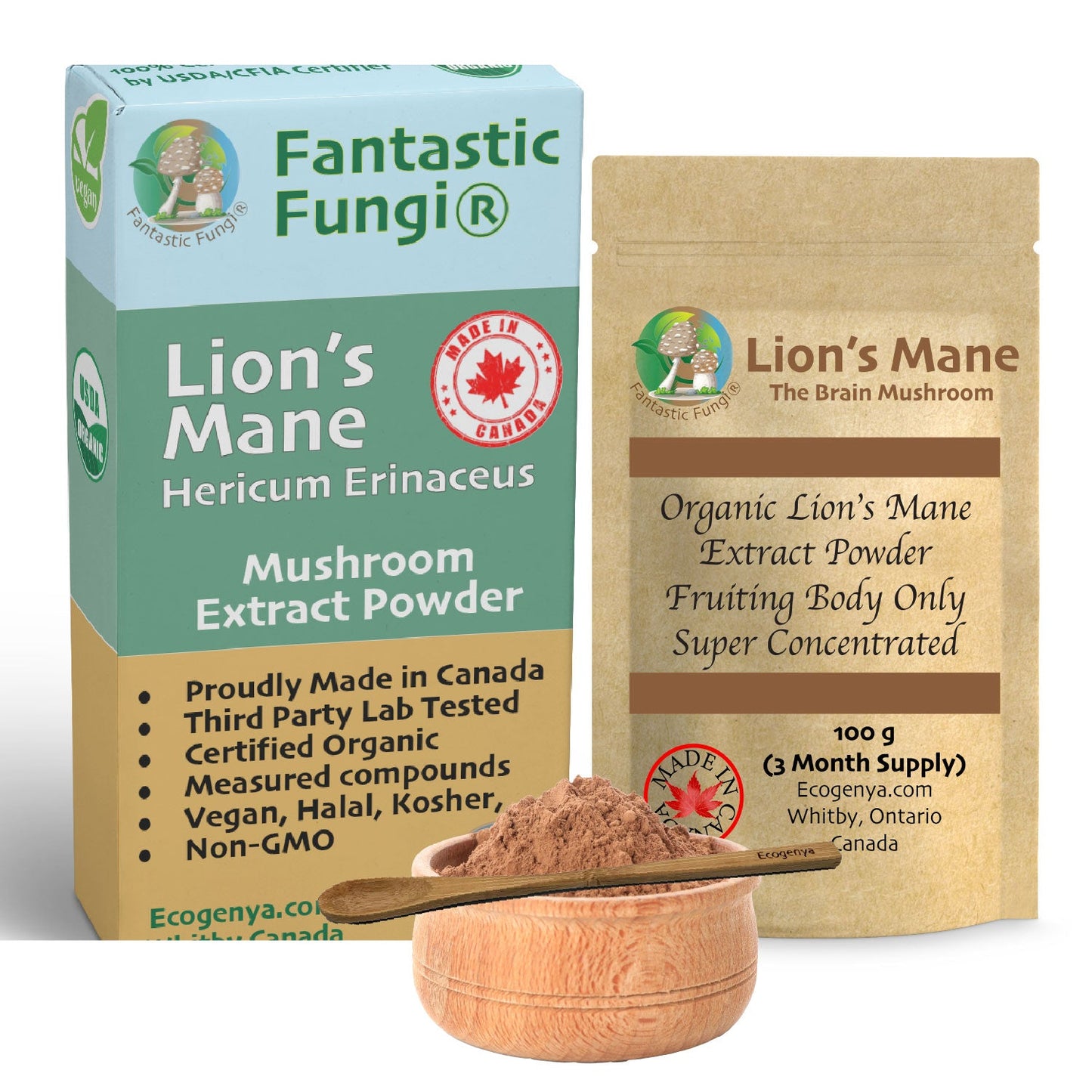 Organic Lion’s Mane (Hericium Erinaceus) Mushroom extract powder / Extrait d’hydne hérisson (Hericium Erinaceus) biologique en poudre - Ecogenya