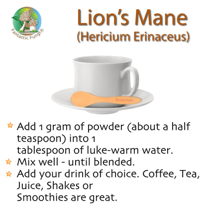 Organic Lion’s Mane (Hericium Erinaceus) Mushroom extract powder / Extrait d’hydne hérisson (Hericium Erinaceus) biologique en poudre - Ecogenya
