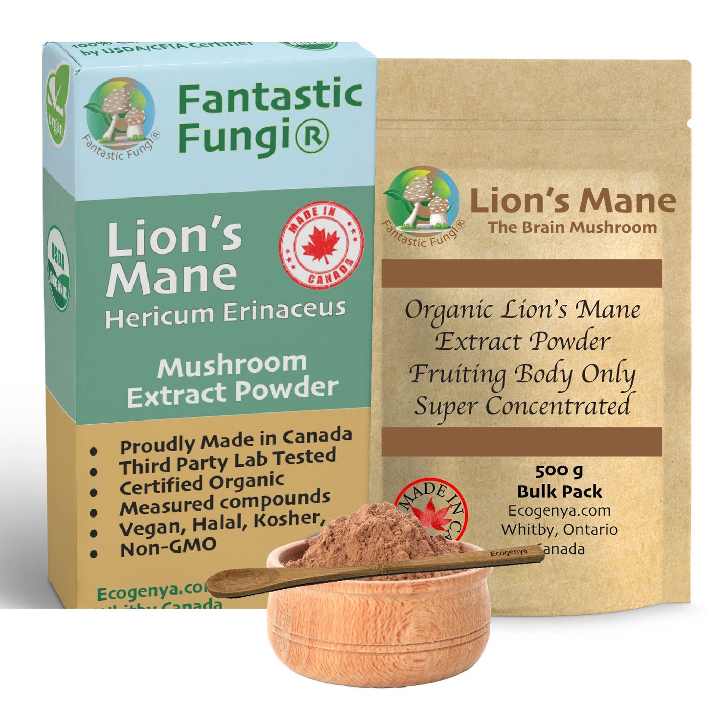 Organic Lion’s Mane (Hericium Erinaceus) Mushroom extract powder / Extrait d’hydne hérisson (Hericium Erinaceus) biologique en poudre - Ecogenya