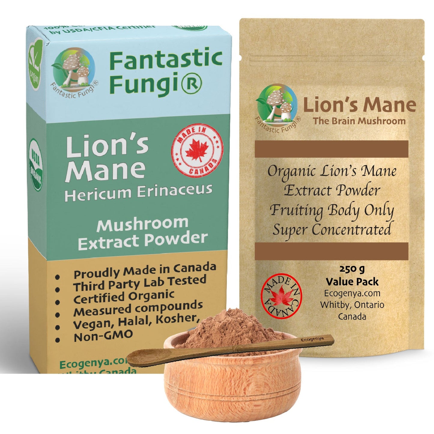 Organic Lion’s Mane (Hericium Erinaceus) Mushroom extract powder / Extrait d’hydne hérisson (Hericium Erinaceus) biologique en poudre - Ecogenya