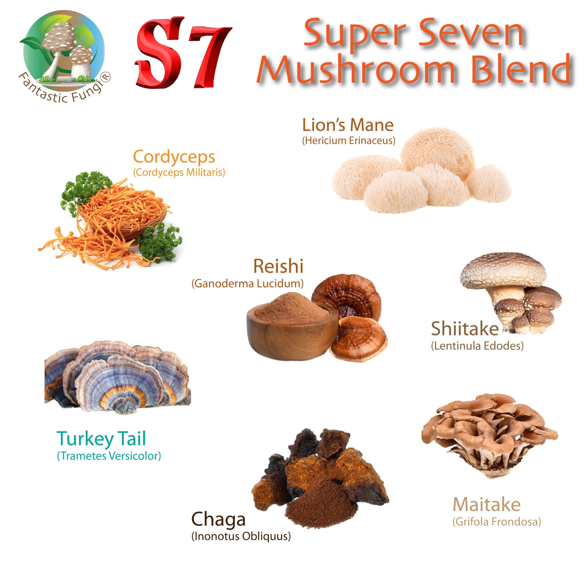 Organic Super Seven Mushroom blend extract powder – Halal, Kosher, Vegan, Non-GMO - Ecogenya