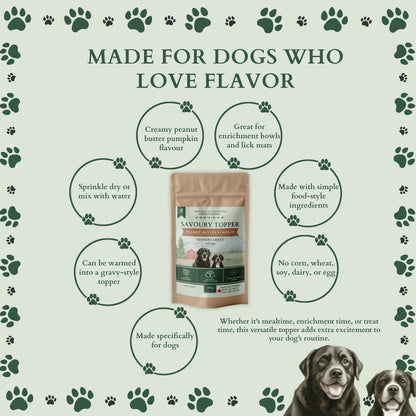 Ecogenya Peanut Butter Pumpkin Gravy pouch on a sage-green graphic headed 'Made for dogs who love flavor,' with benefit bubbles for creamy peanut butter pumpkin flavour, enrichment bowls and lick mats, a gravy-style topper, and no corn, wheat, soy, dairy or egg, beside two dogs.