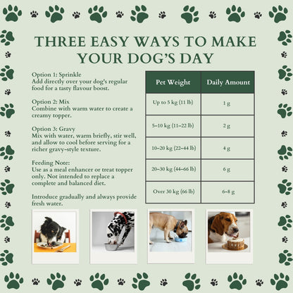 Ecogenya Peanut Butter Pumpkin Gravy feeding guide on a sage-green graphic, 'Three easy ways to make your dog's day,' with serving options (sprinkle, mix, gravy) and a daily-amount chart by dog weight (1 g up to 5 kg through 6–8 g over 30 kg), above photos of dogs eating.