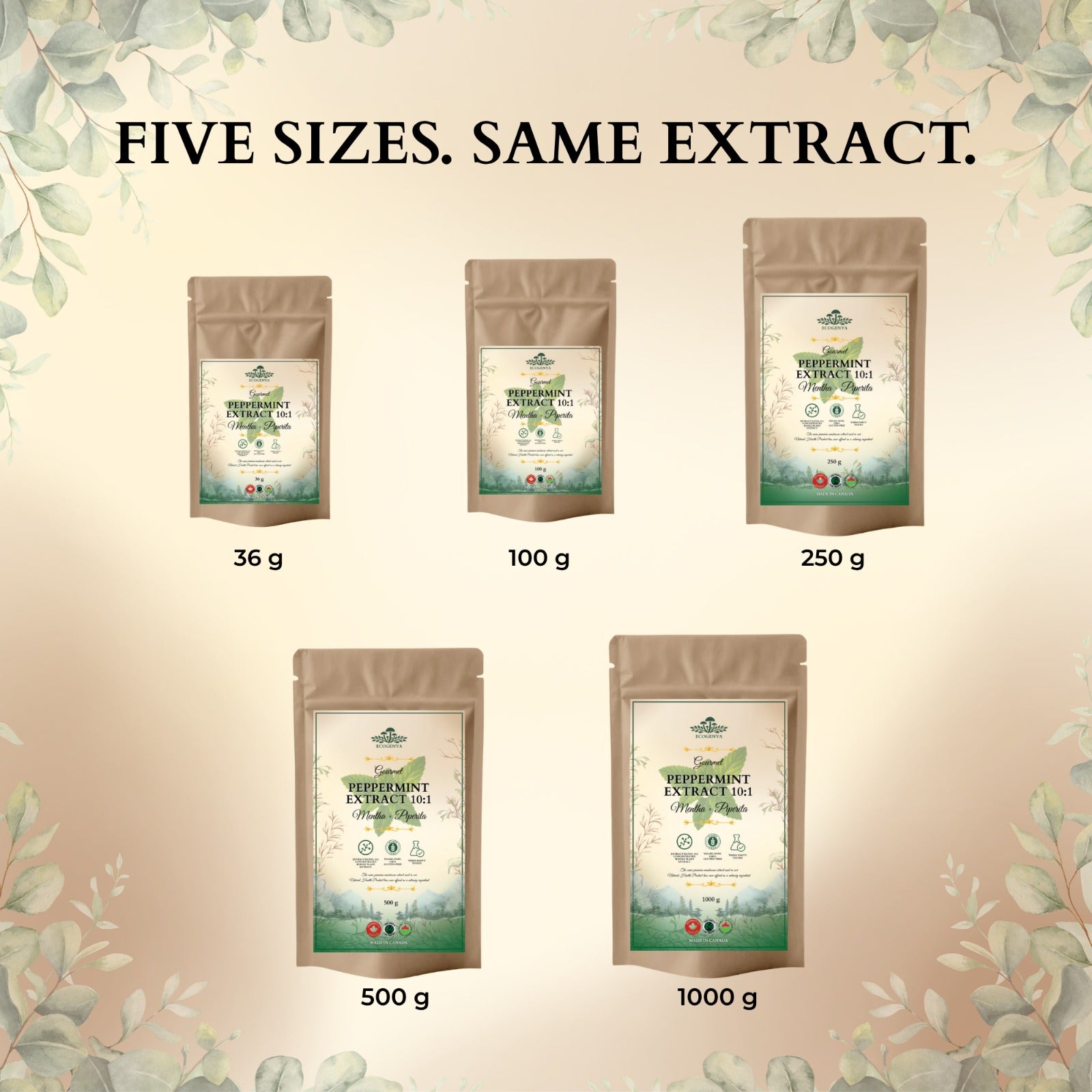 Ecogenya Peppermint Extract 10:1 available in 36 g, 100 g, 250 g, 500 g and 1000 g pouches