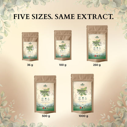 Ecogenya Peppermint Extract 10:1 available in 36 g, 100 g, 250 g, 500 g and 1000 g pouches