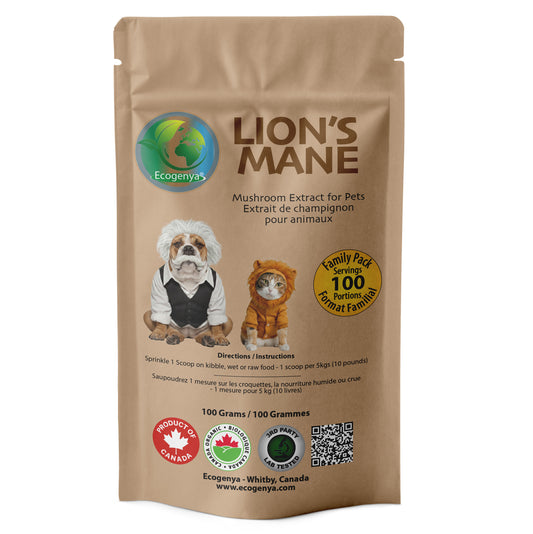 Ecogenya Lion's Mane Extract for Pets in a kraft stand-up pouch, 100g — packaged in Canada