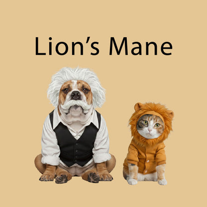 Lion's Mane Mushroom Extract for Pets