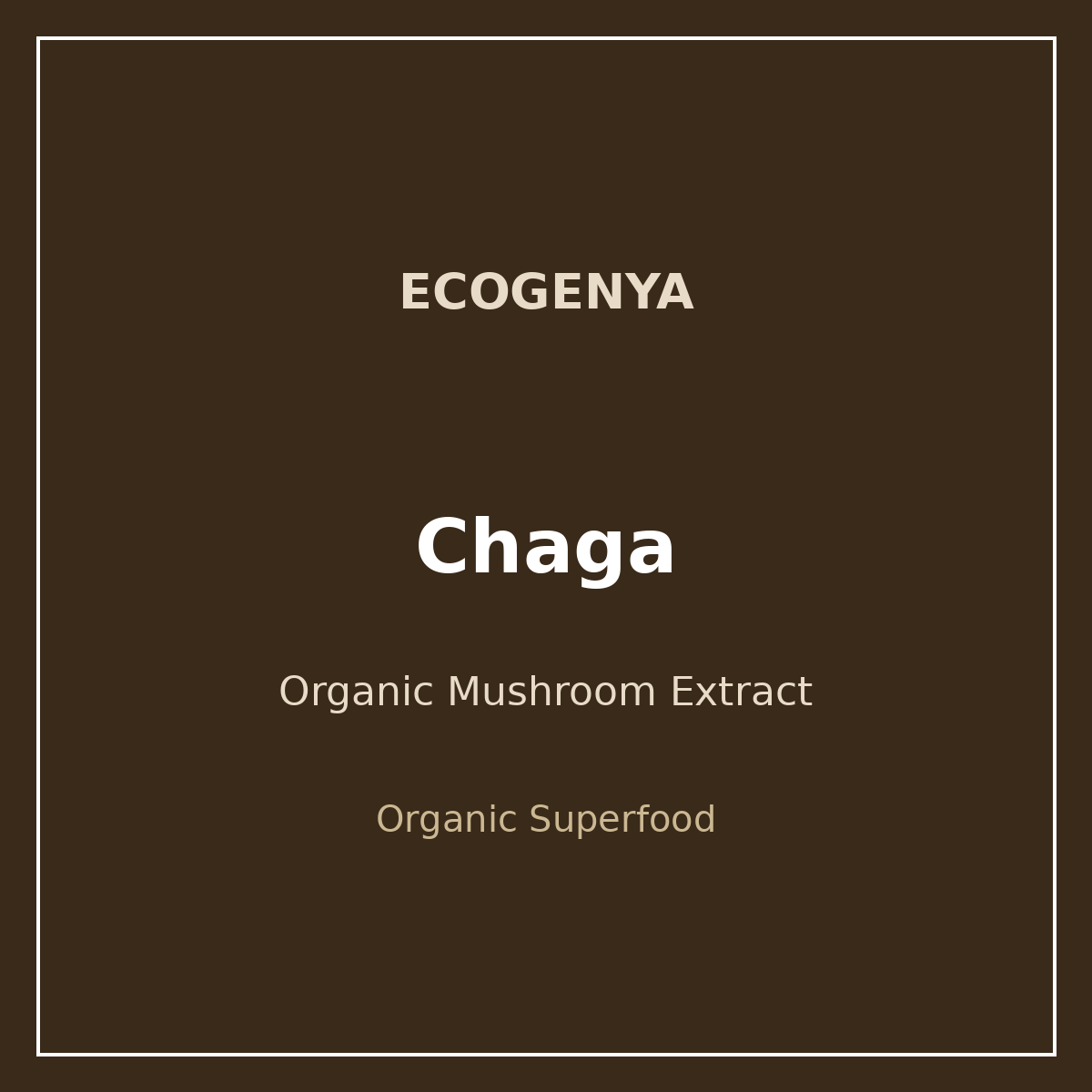 Gourmet Chaga – Organic Mushroom Extract Powder