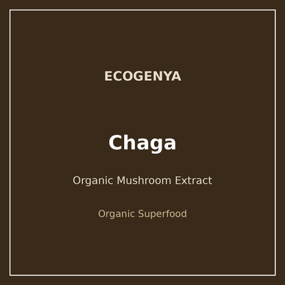 Gourmet Chaga – Organic Mushroom Extract Powder