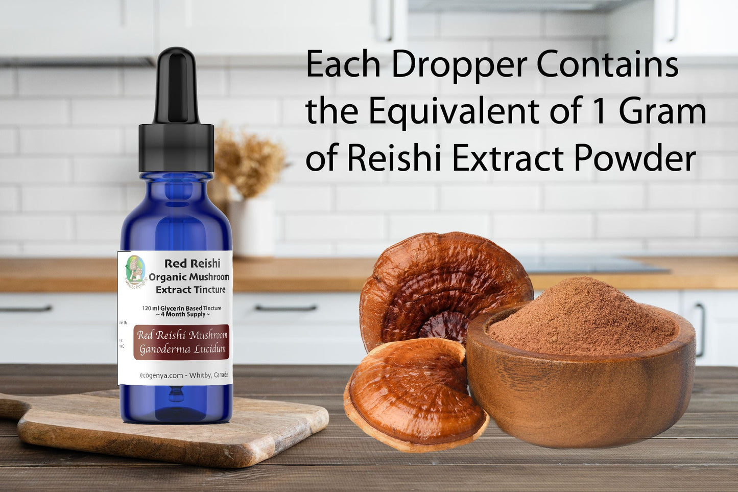 Premium Red Reishi Mushroom Tincture – Dual - Extract with Glycerin or Alcohol Suspension + Vitamin C - Ecogenya