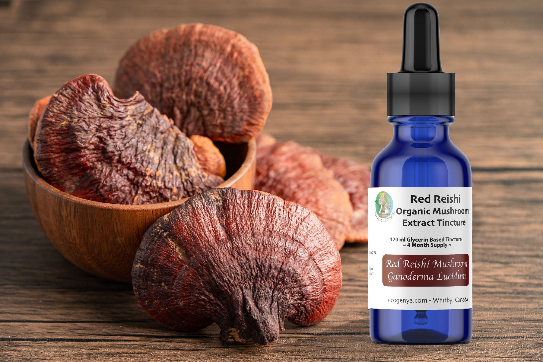 Premium Red Reishi Mushroom Tincture – Dual - Extract with Glycerin or Alcohol Suspension + Vitamin C - Ecogenya