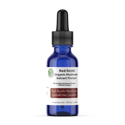 Premium Red Reishi Mushroom Tincture – Dual - Extract with Glycerin or Alcohol Suspension + Vitamin C - Ecogenya