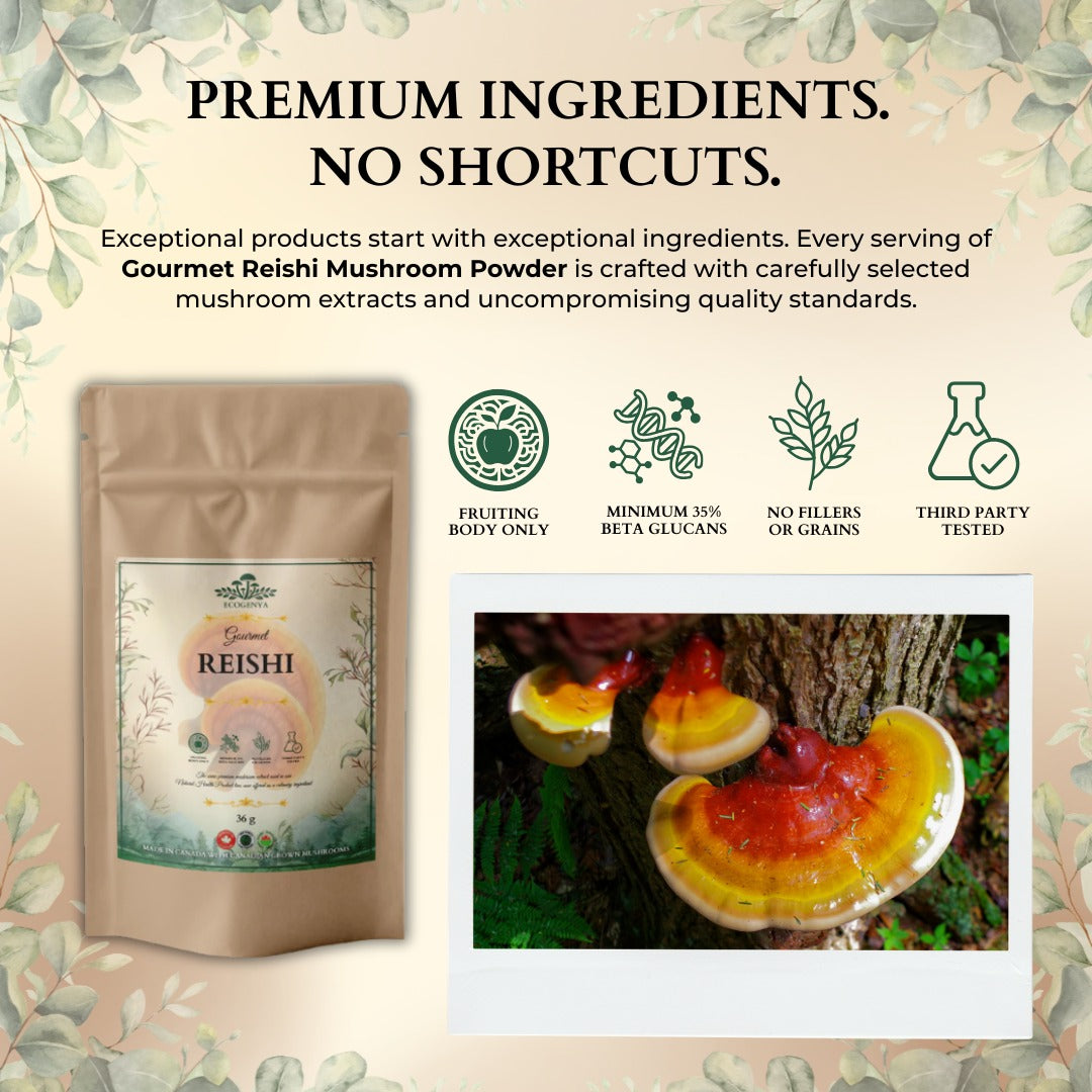 Ecogenya Gourmet Reishi Mushroom Powder – Organic Fruiting Body Extract, 35% Beta-Glucans