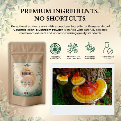 Ecogenya Gourmet Reishi Mushroom Powder – Organic Fruiting Body Extract, 35% Beta-Glucans