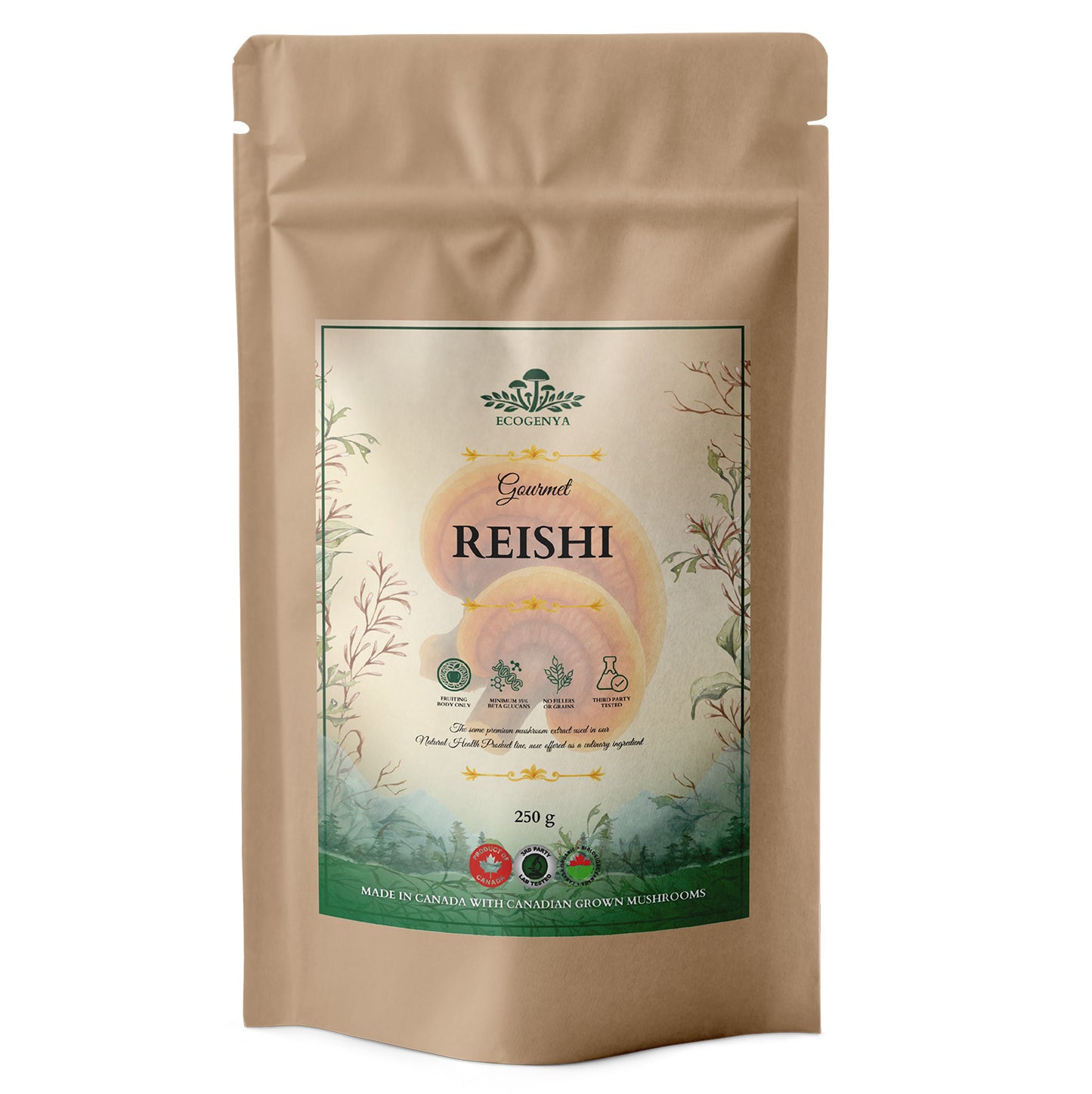 Gourmet Reishi Mushroom Powder – Organic Reishi Extract