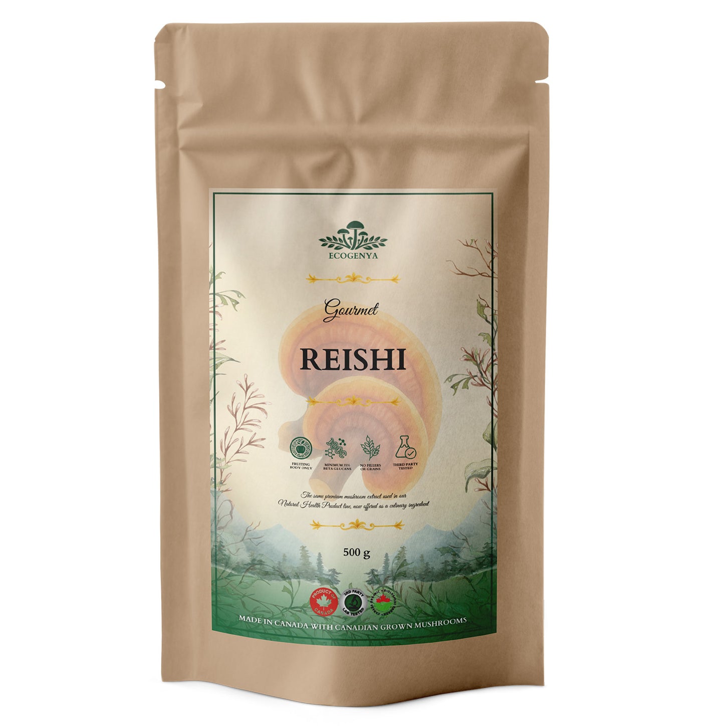 Gourmet Reishi Mushroom Powder – Organic Reishi Extract